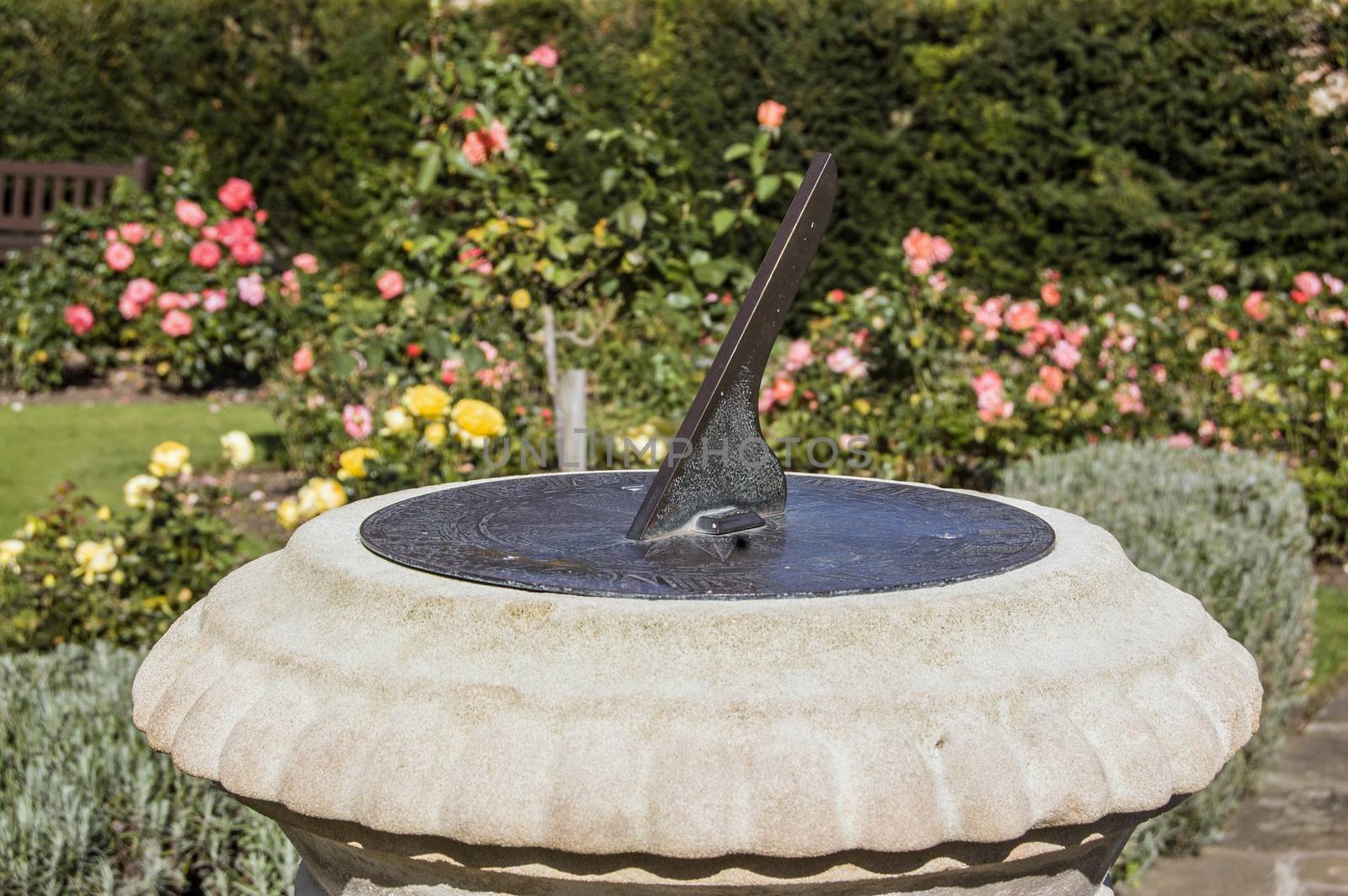Stone sundial with bronze gnomon in a formal rose garden in Abbey Gardens, Bury St Edmunds, Suffolk.