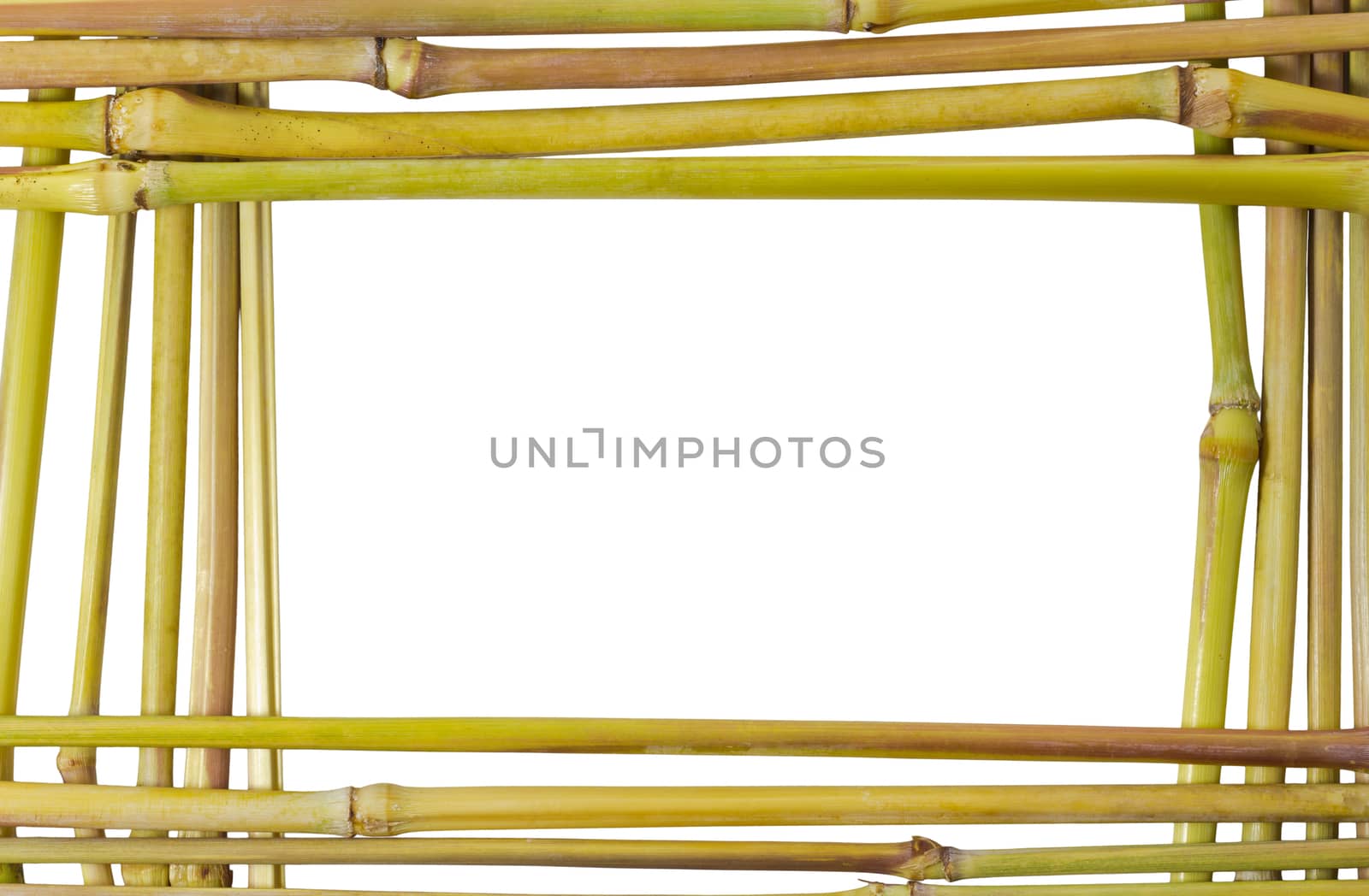 Nature Frame of weed plant stem isolated on white background and clipping path