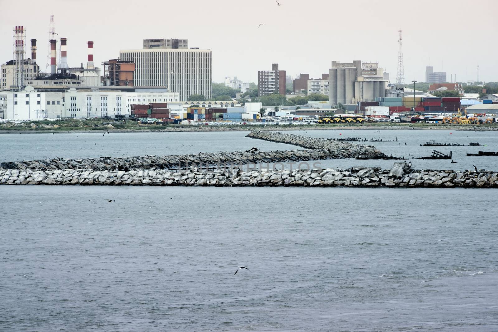 View To The Port Of Montevideo, Uruguay by dani3315