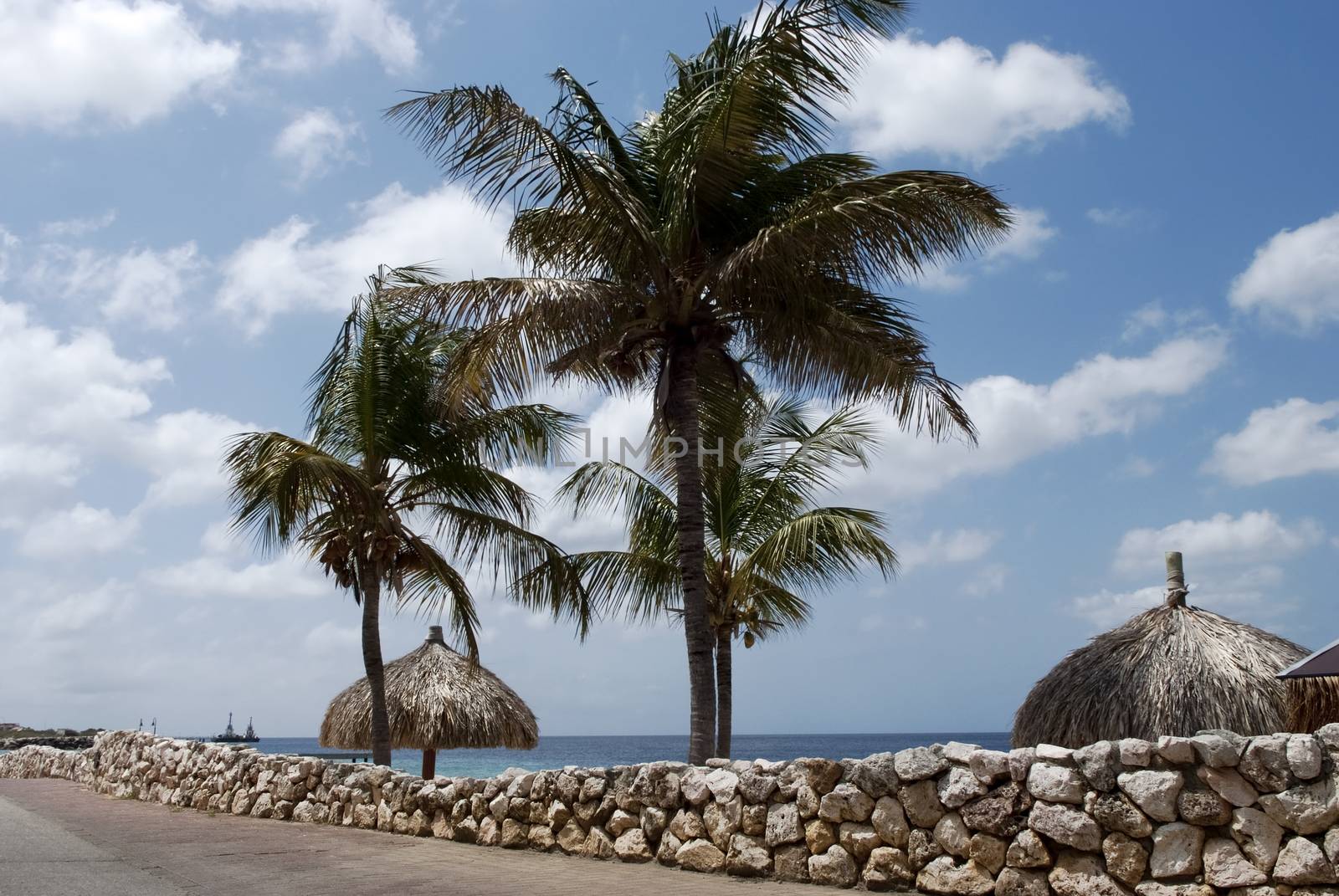  Seafront In The Peaceful City Klarendijk, Bonaire by dani3315