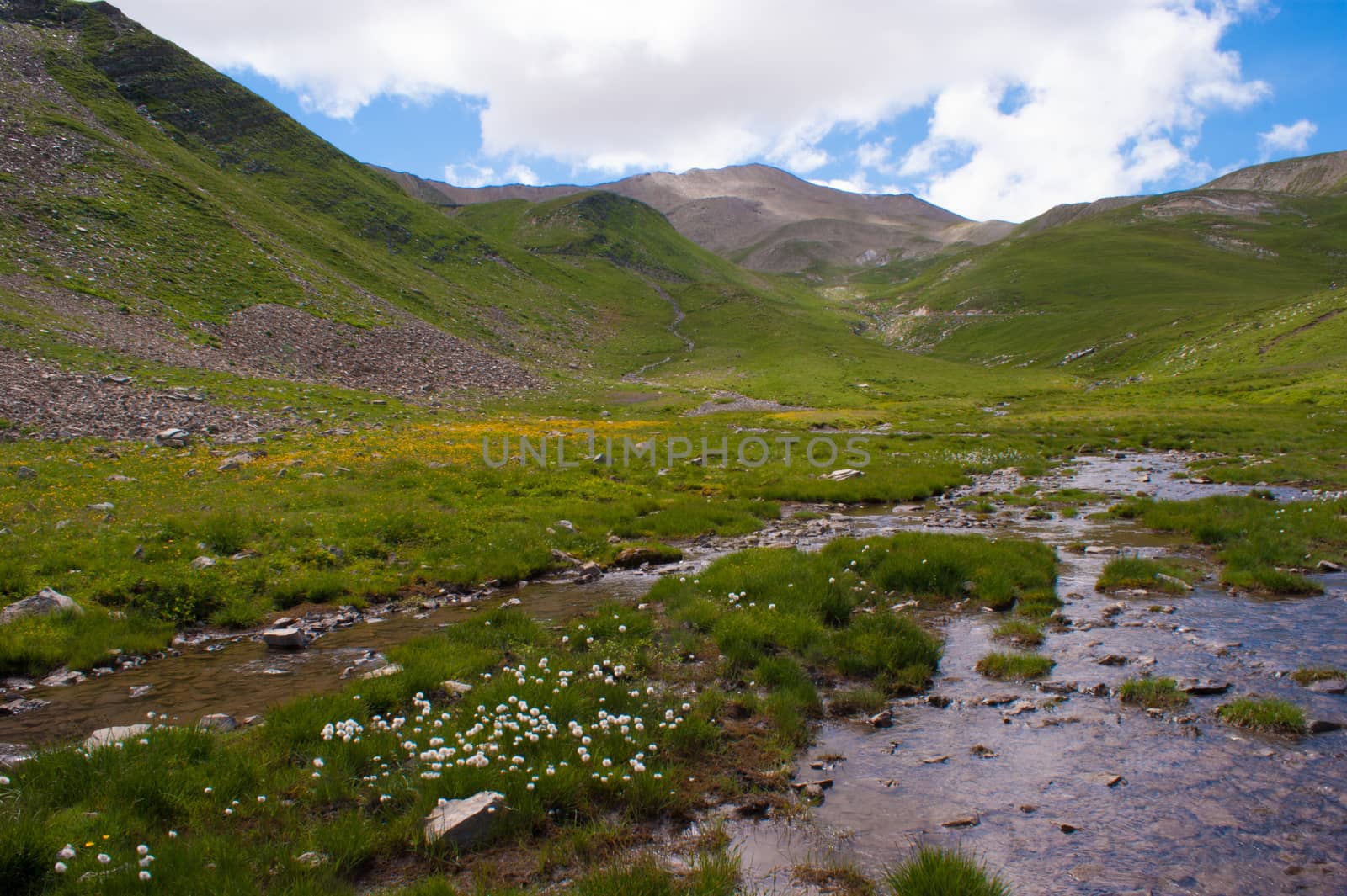 vallon of eyguettes,crevoux,hautes alpes,france