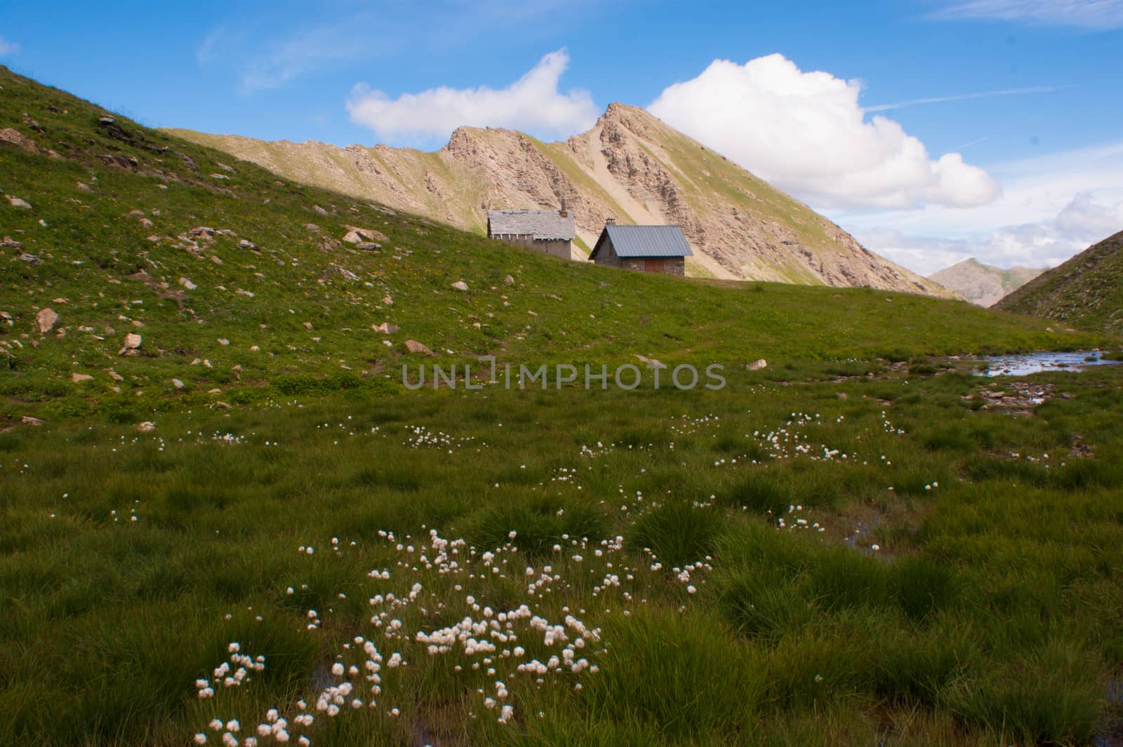 vallon of eyguettes,crevoux,hautes alpes,france