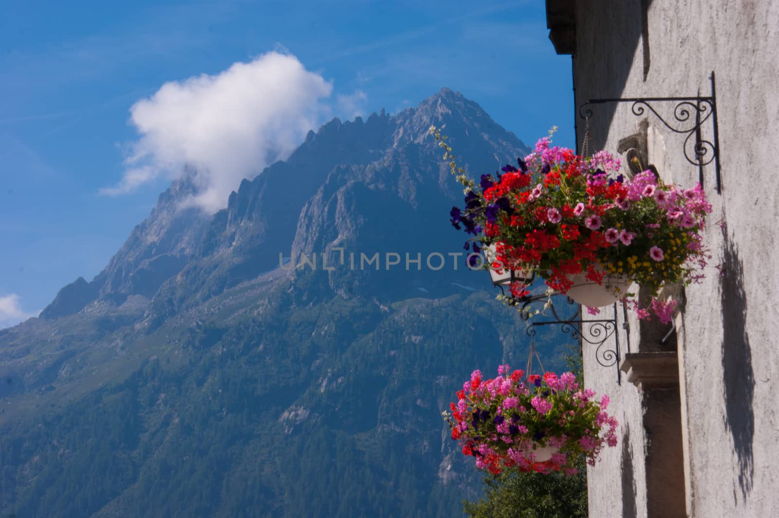 vallorcine,haute savoie,france