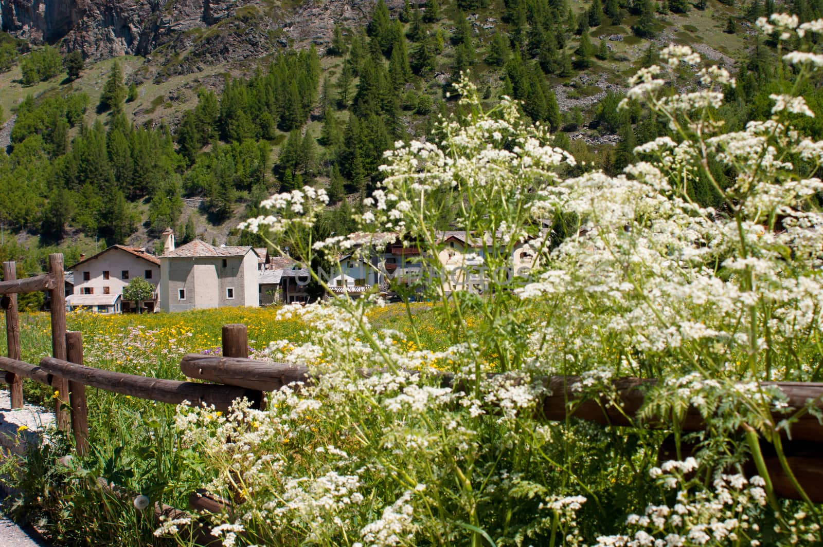 lillaz,cogne,val d'aosta,italy