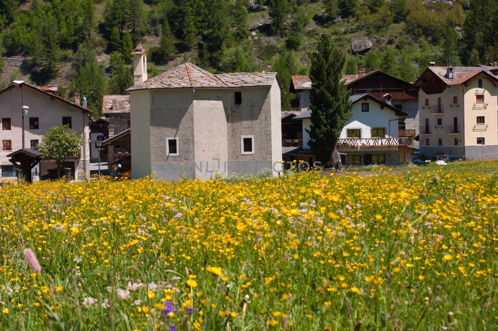 lillaz,cogne,val d'aosta,italy