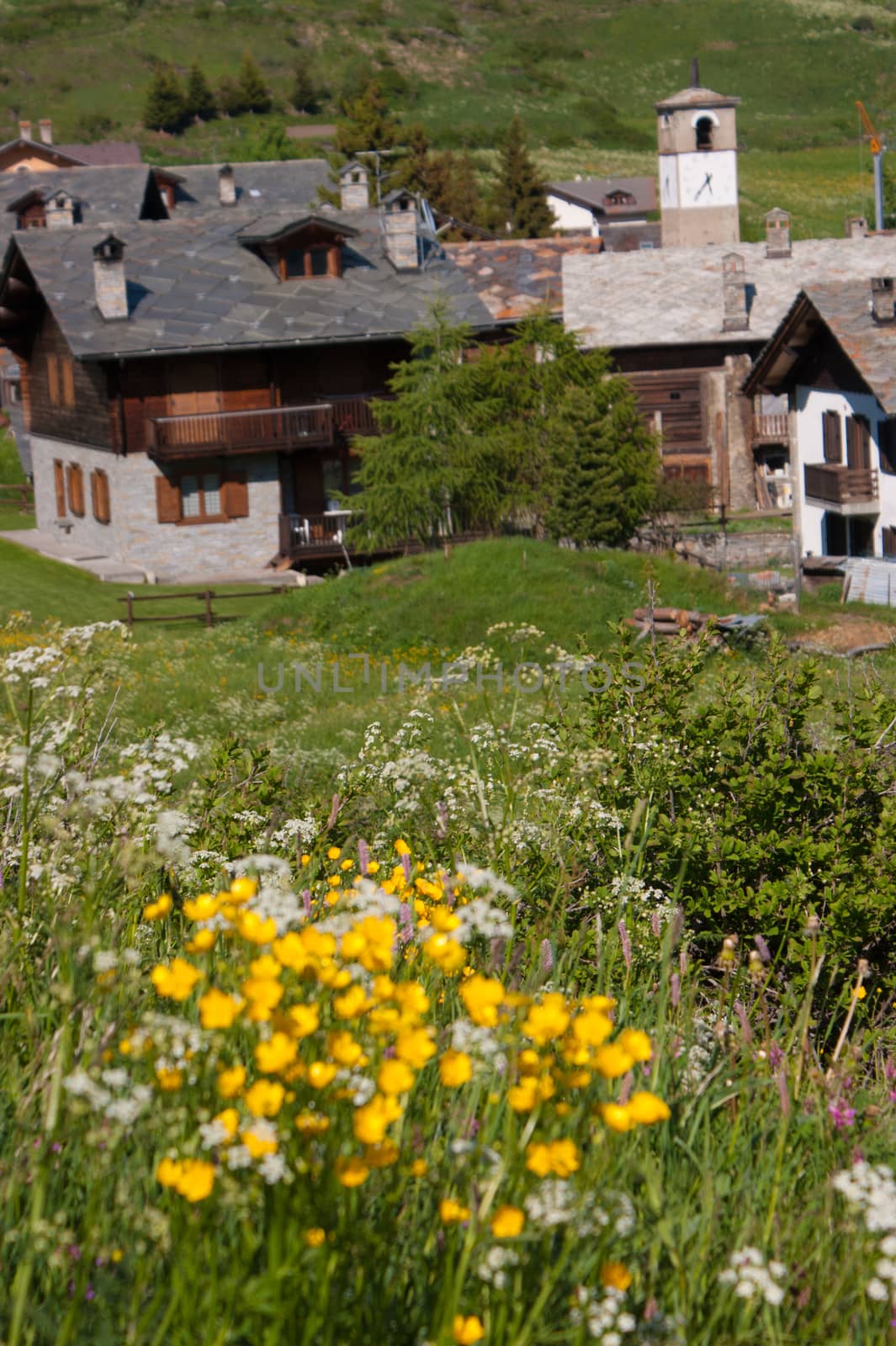 gimillan,cogne,val of aosta,italy