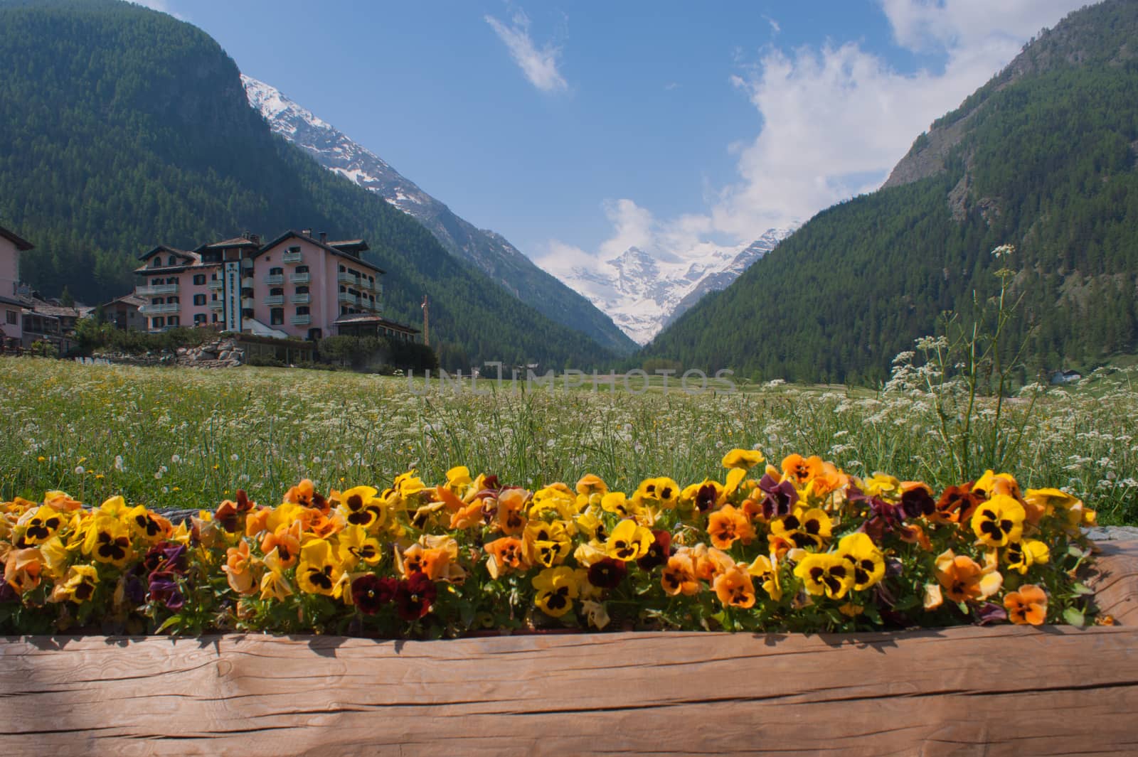 cogne,val of aosta,italy