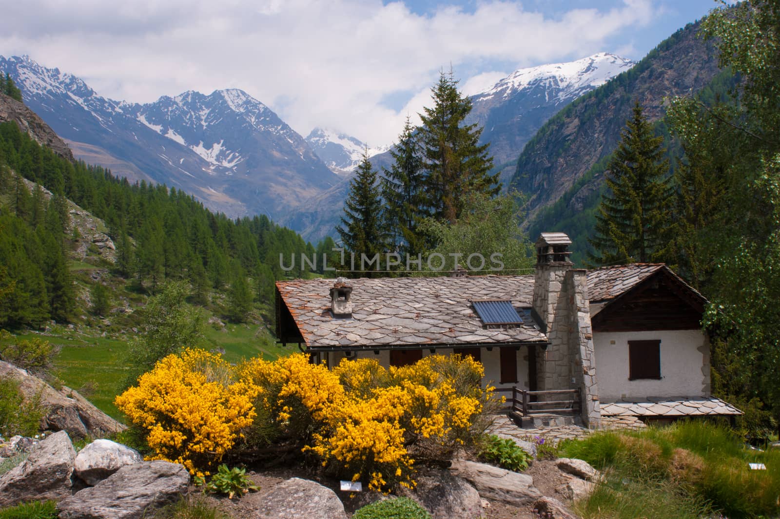 Botanical Garden,valnontey,cogne,val of aosta,italy