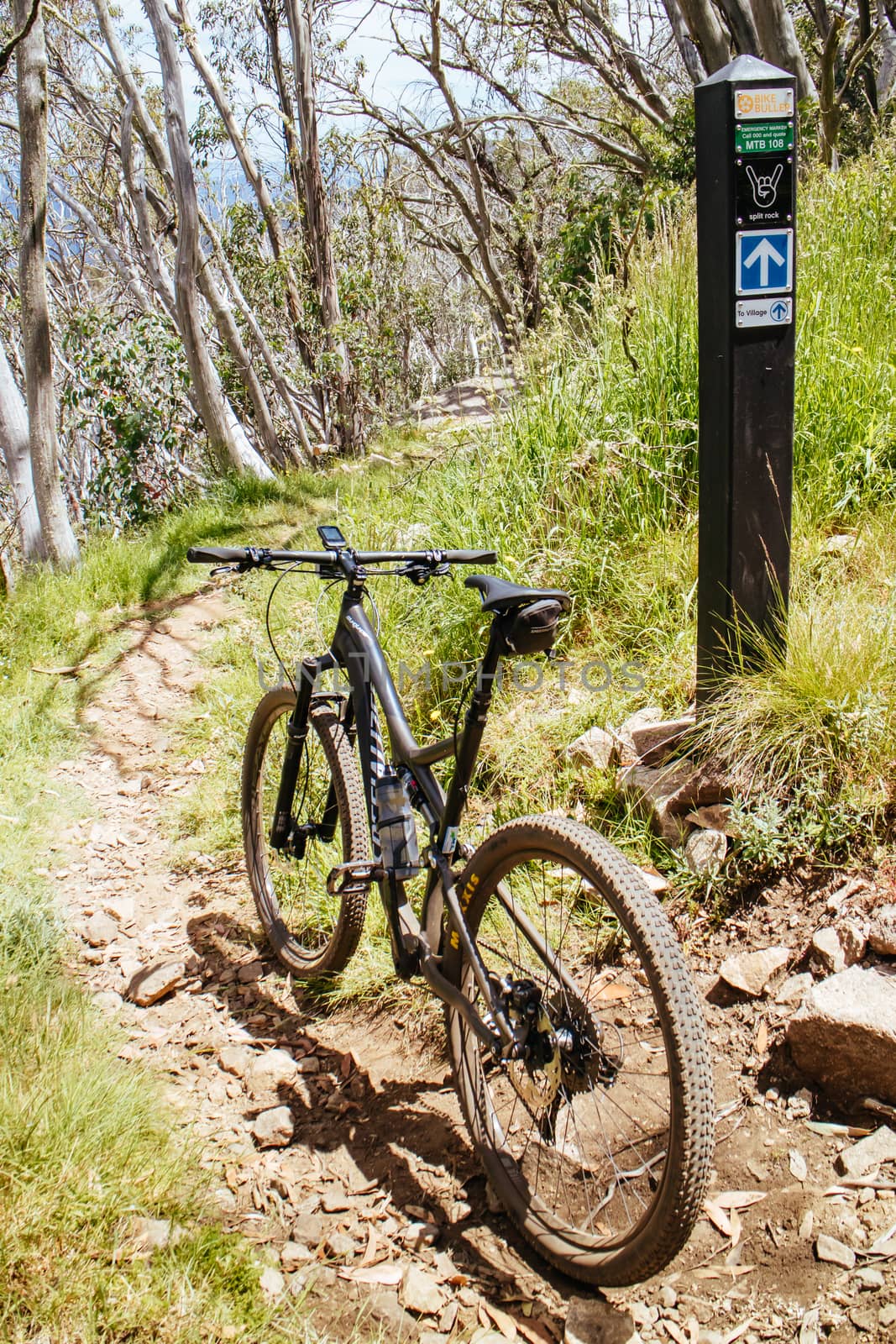 Mt Buller, Australia - December 31, 2015: Cross country mountain bike trails on a hot summer's day
