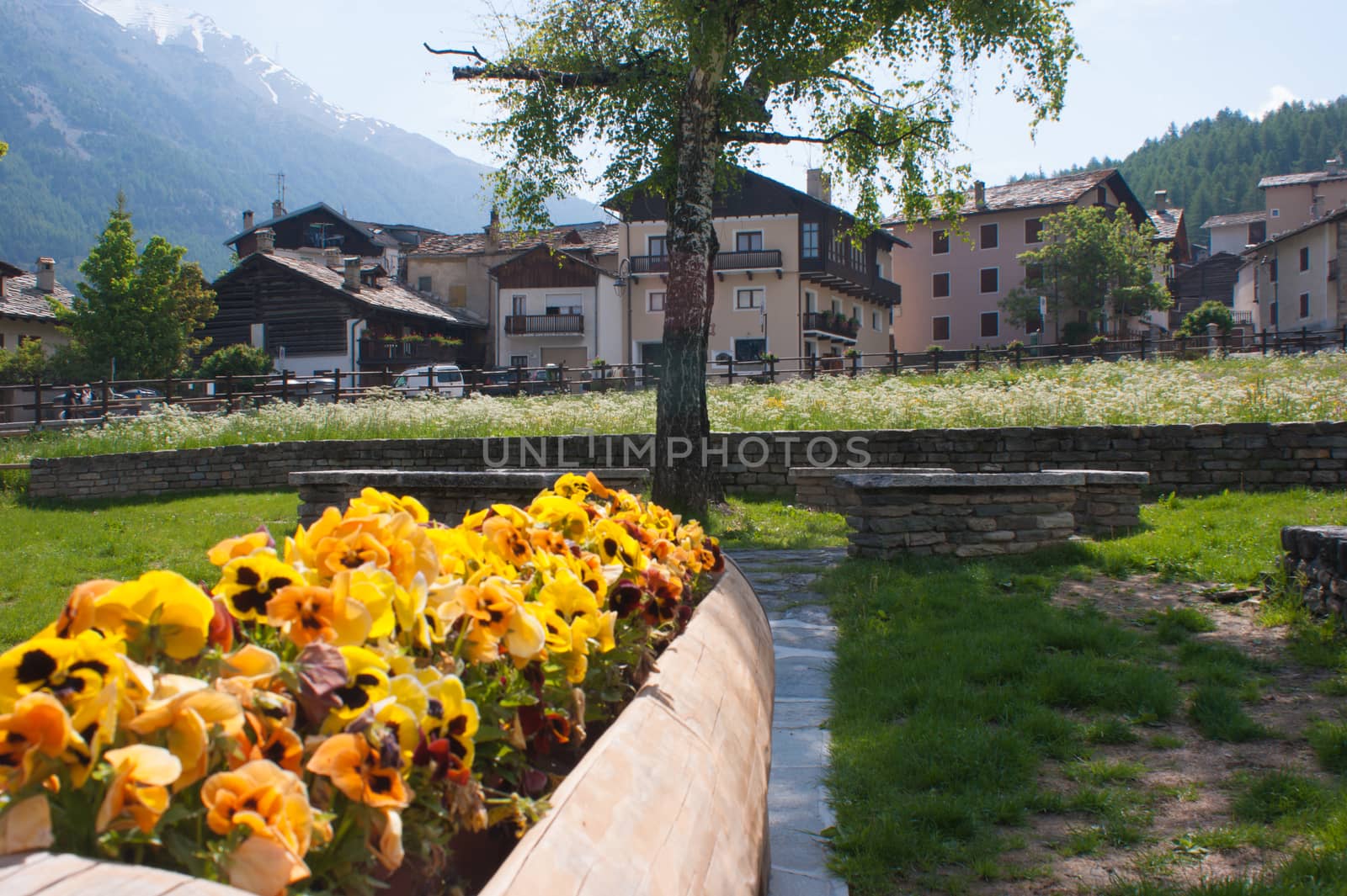 cogne,val of aosta,italy