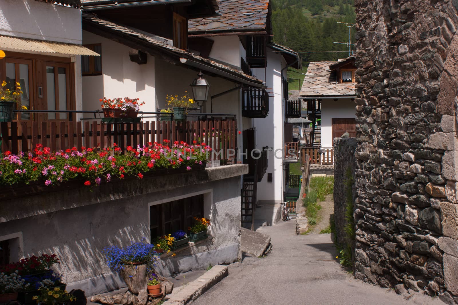 cogne,val of aosta,italy