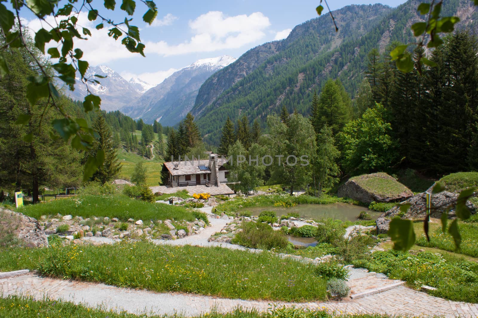 Botanical Garden,valnontey,cogne,val of aosta,italy