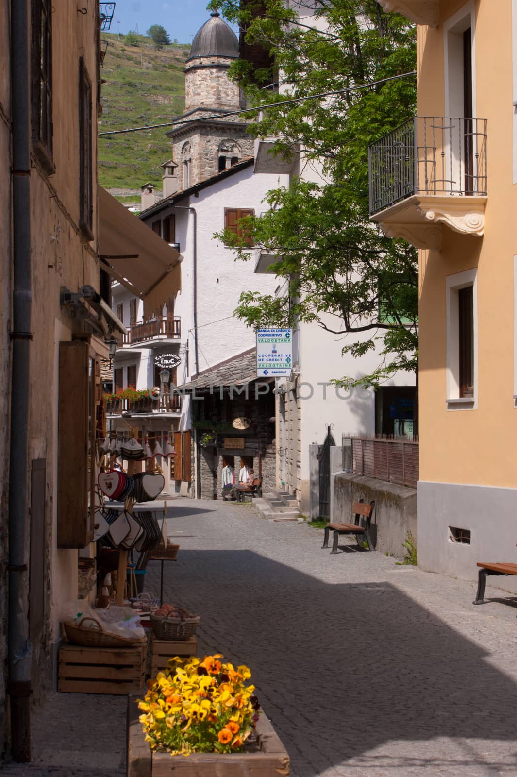 cogne,val of aosta,italy