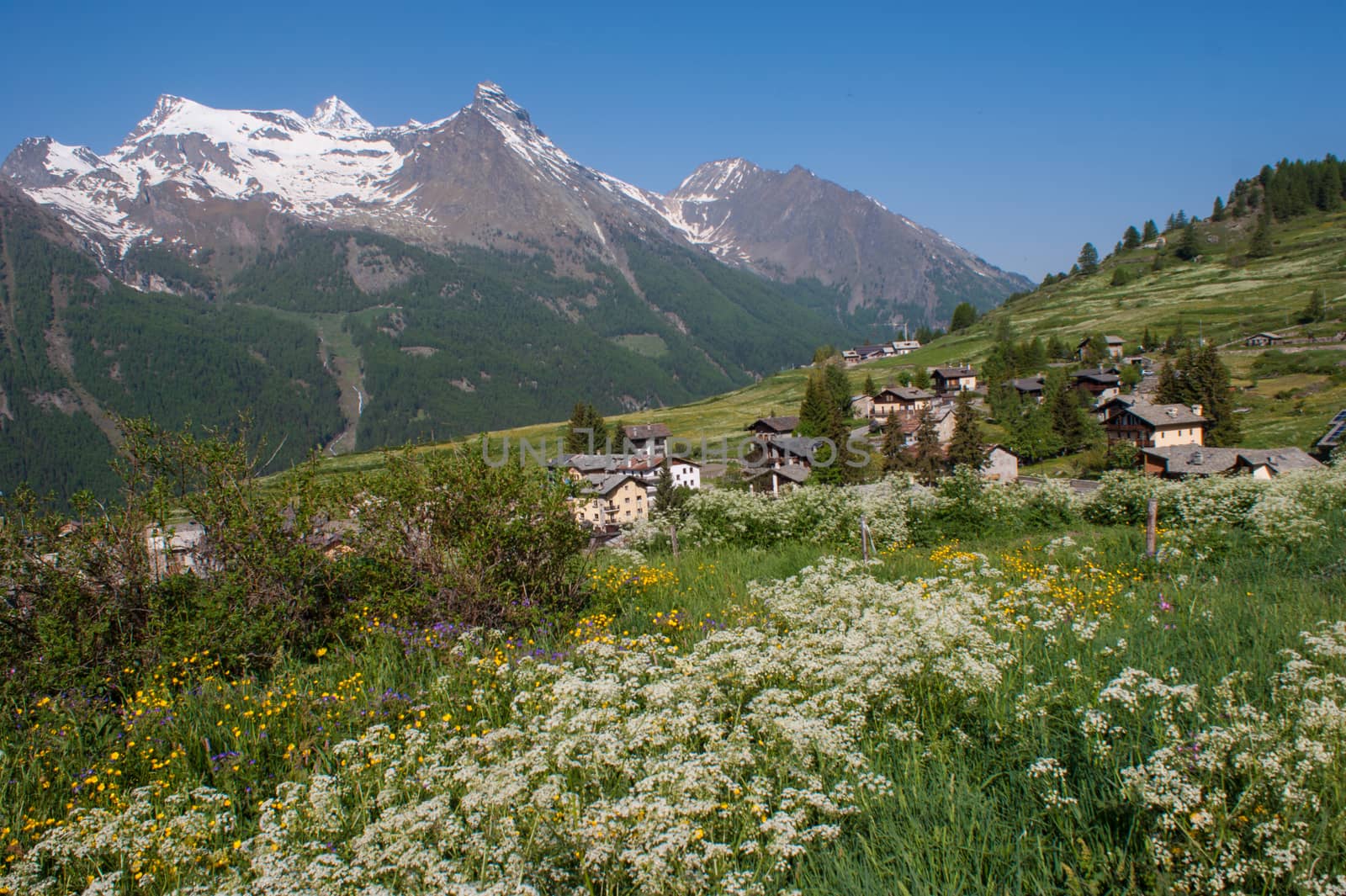 gimillan,cogne,val of aosta,italy