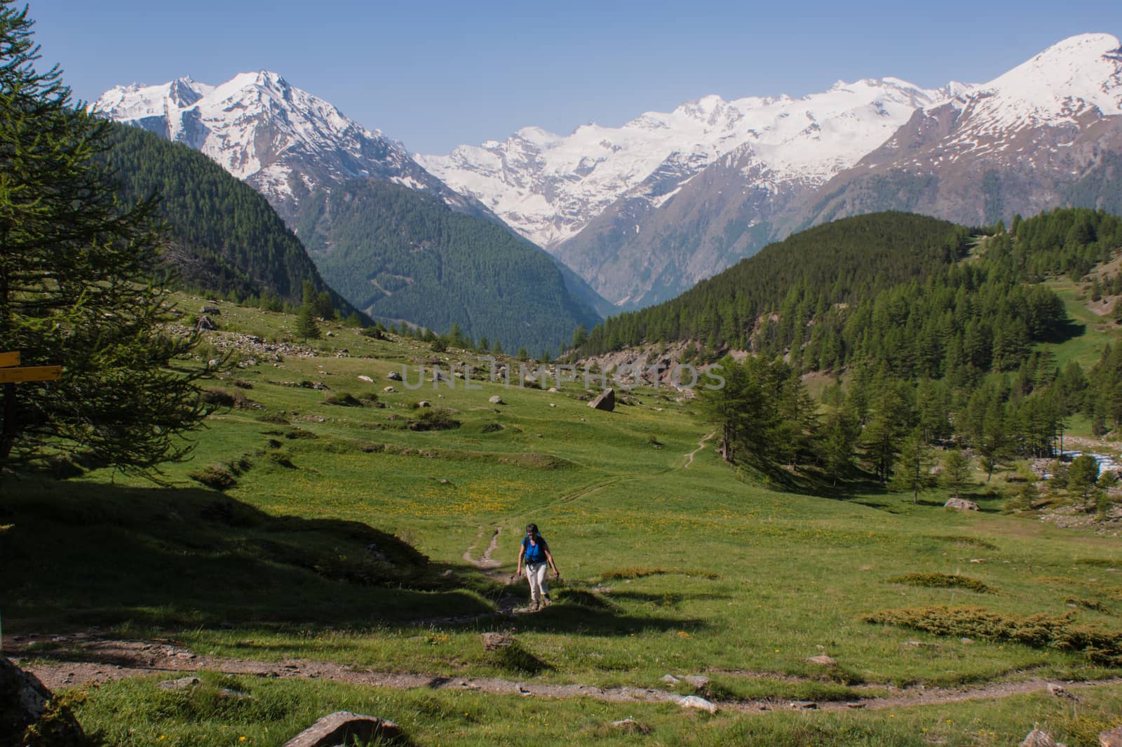 grauson,cogne,val of aosta,italy