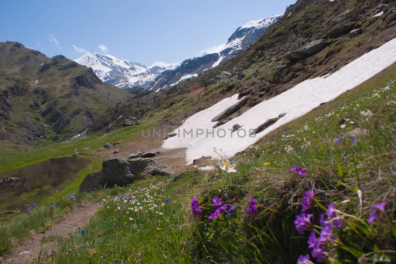 grauson,cogne,val of aosta,italy