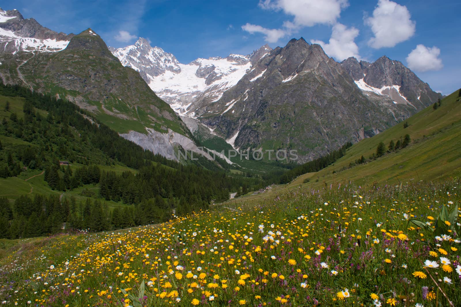 swiss alps landscape by bertrand