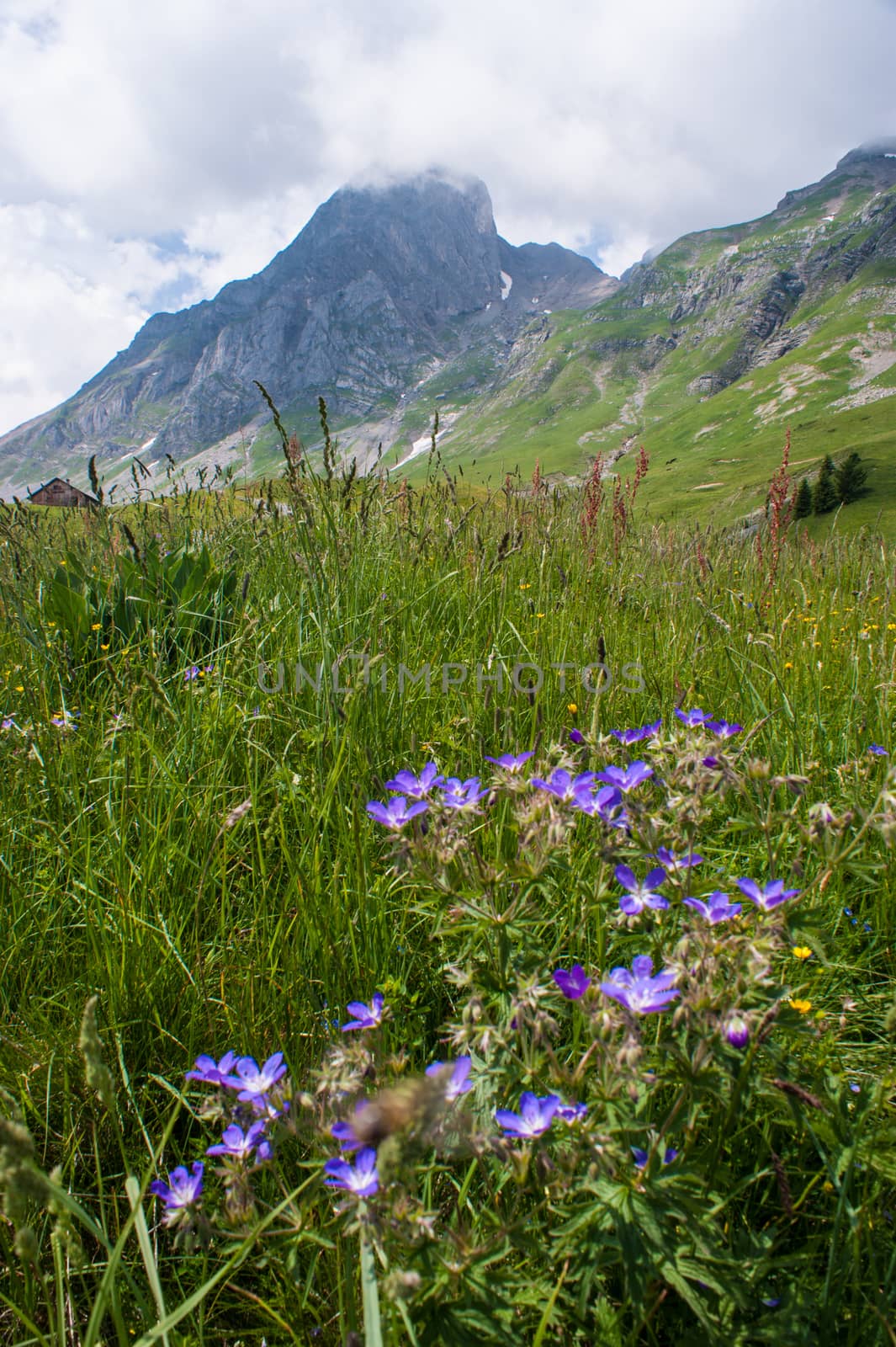 cordon,haute savoie,france