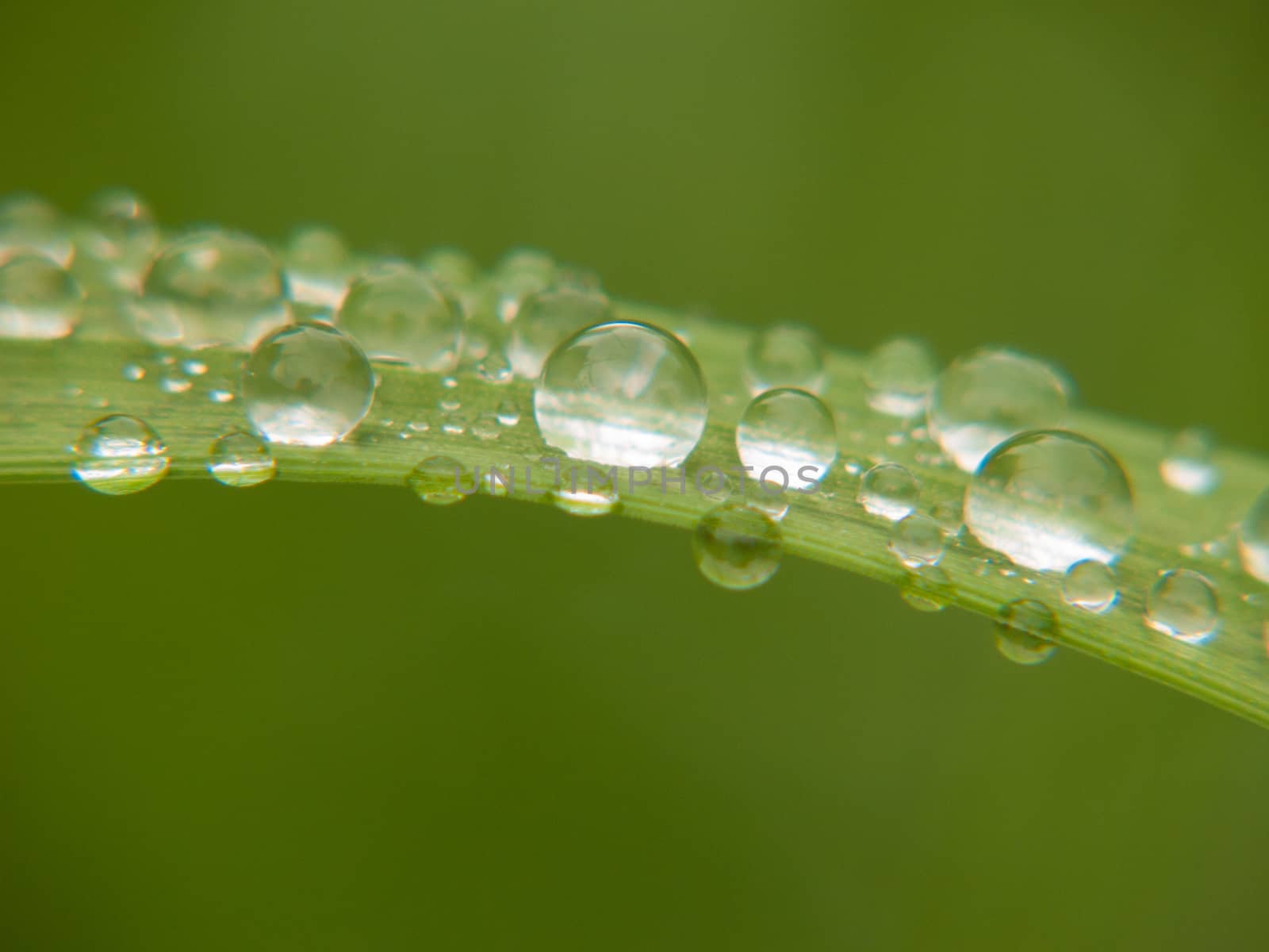 drop of water,haute loire ,france