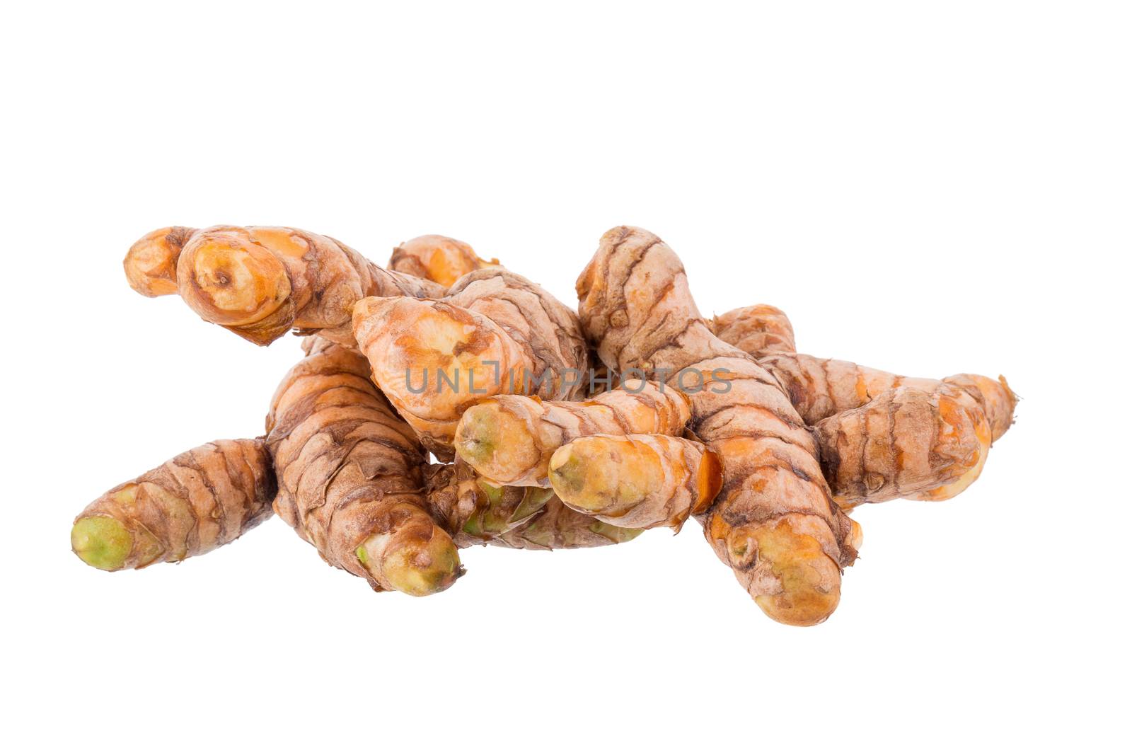 Fresh turmeric slices isolated on white background.