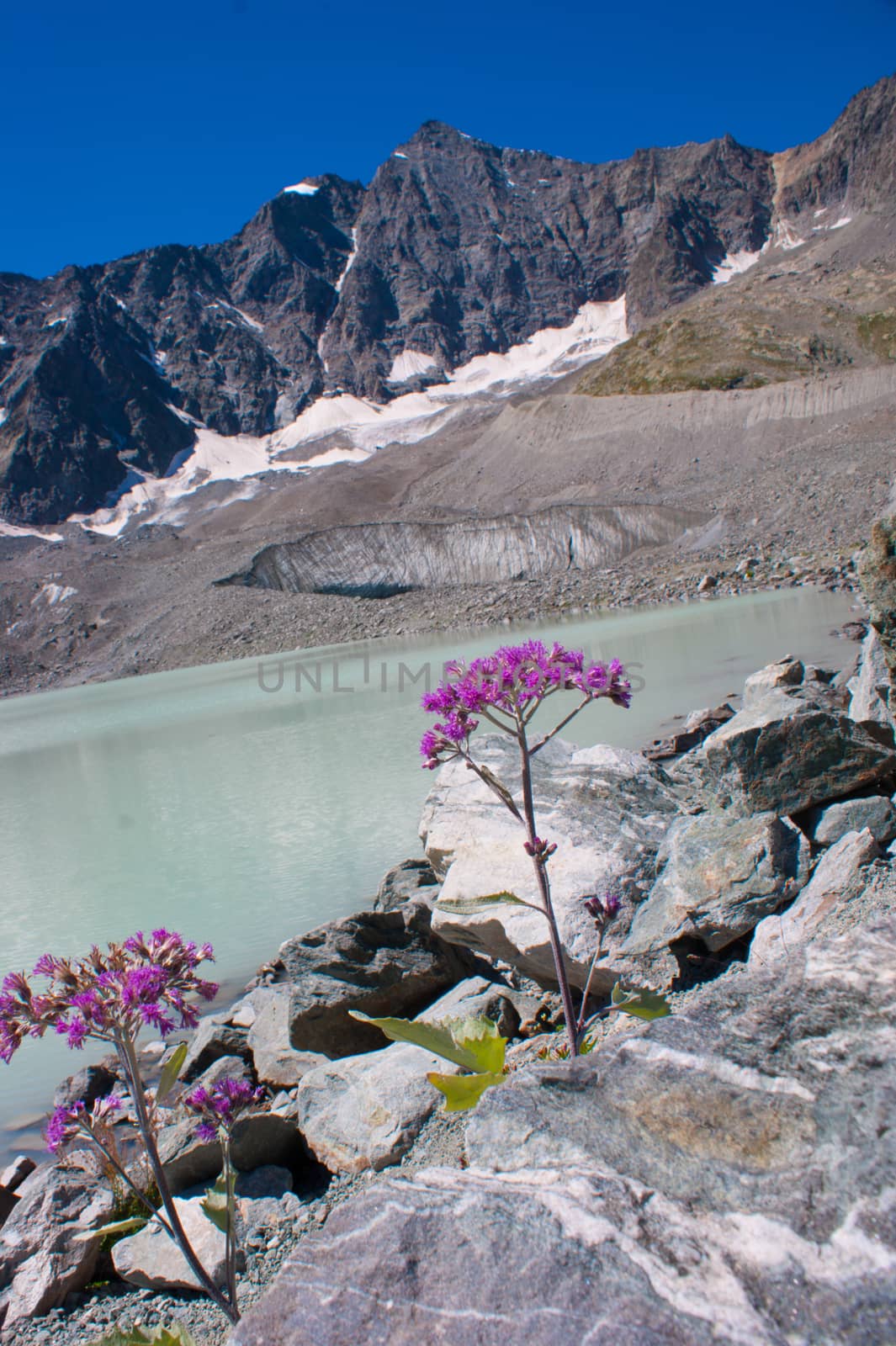 french alps landscape by bertrand