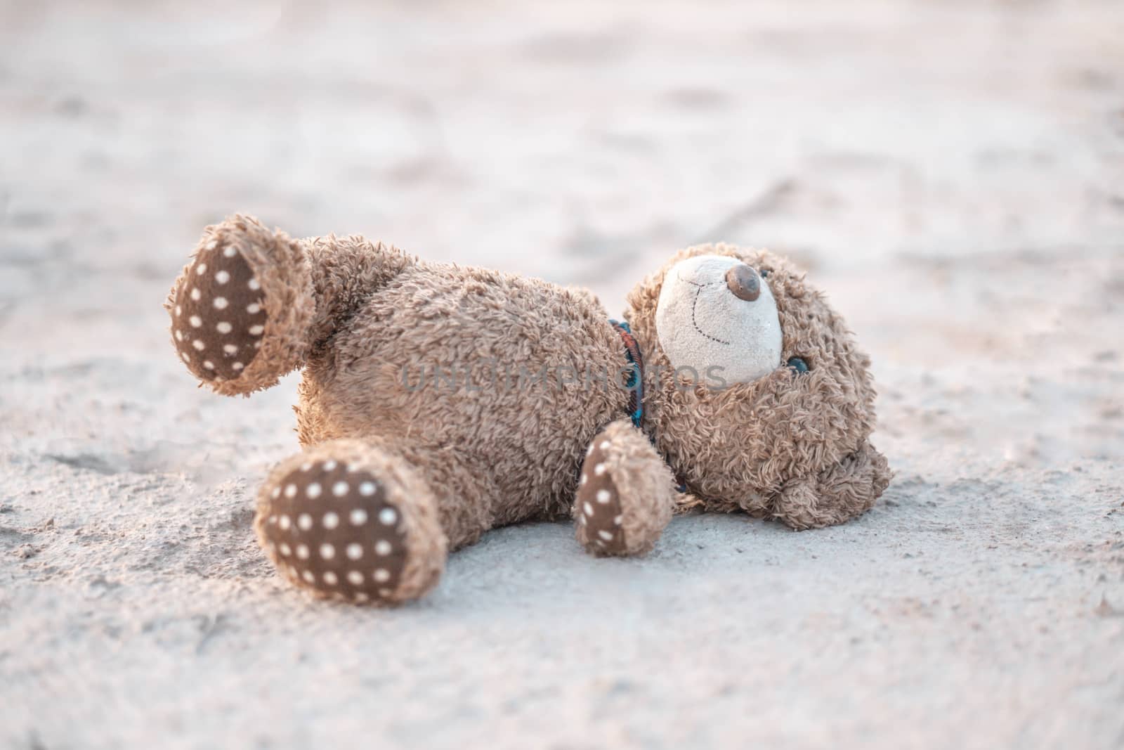 Closeup teddy Bear toy laying  alone in the  ground by pt.pongsak@gmail.com