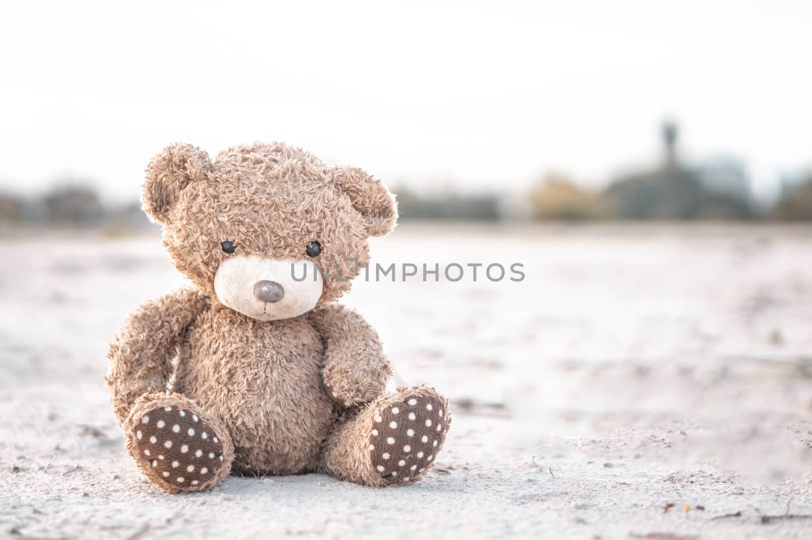 Closeup teddy Bear toy laying  alone in the  ground by pt.pongsak@gmail.com