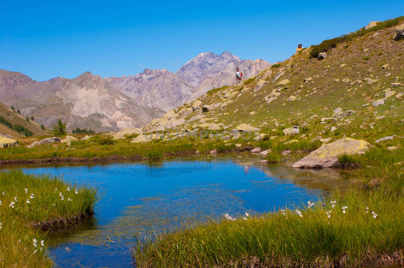 french alps landscape by bertrand