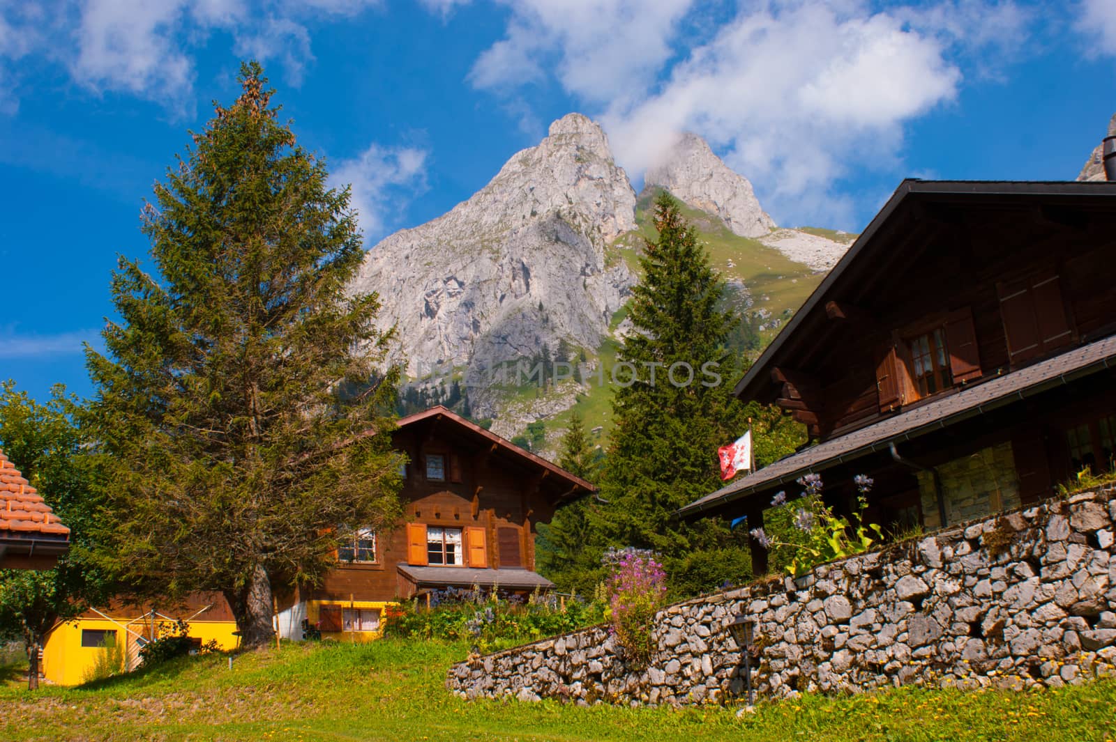 swiss alps landscape by bertrand