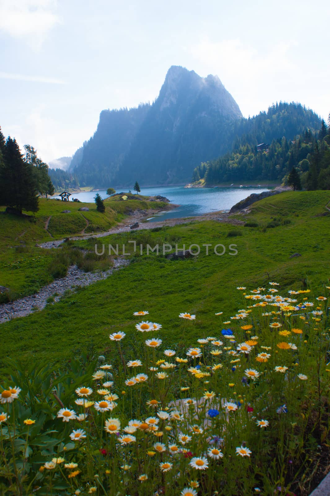 lac de tanay,vaud,swiss