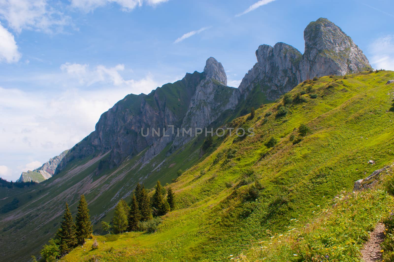 lac de loveney,vaud,swiss