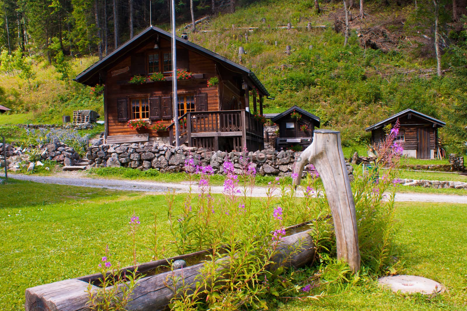 swiss alps landscape by bertrand