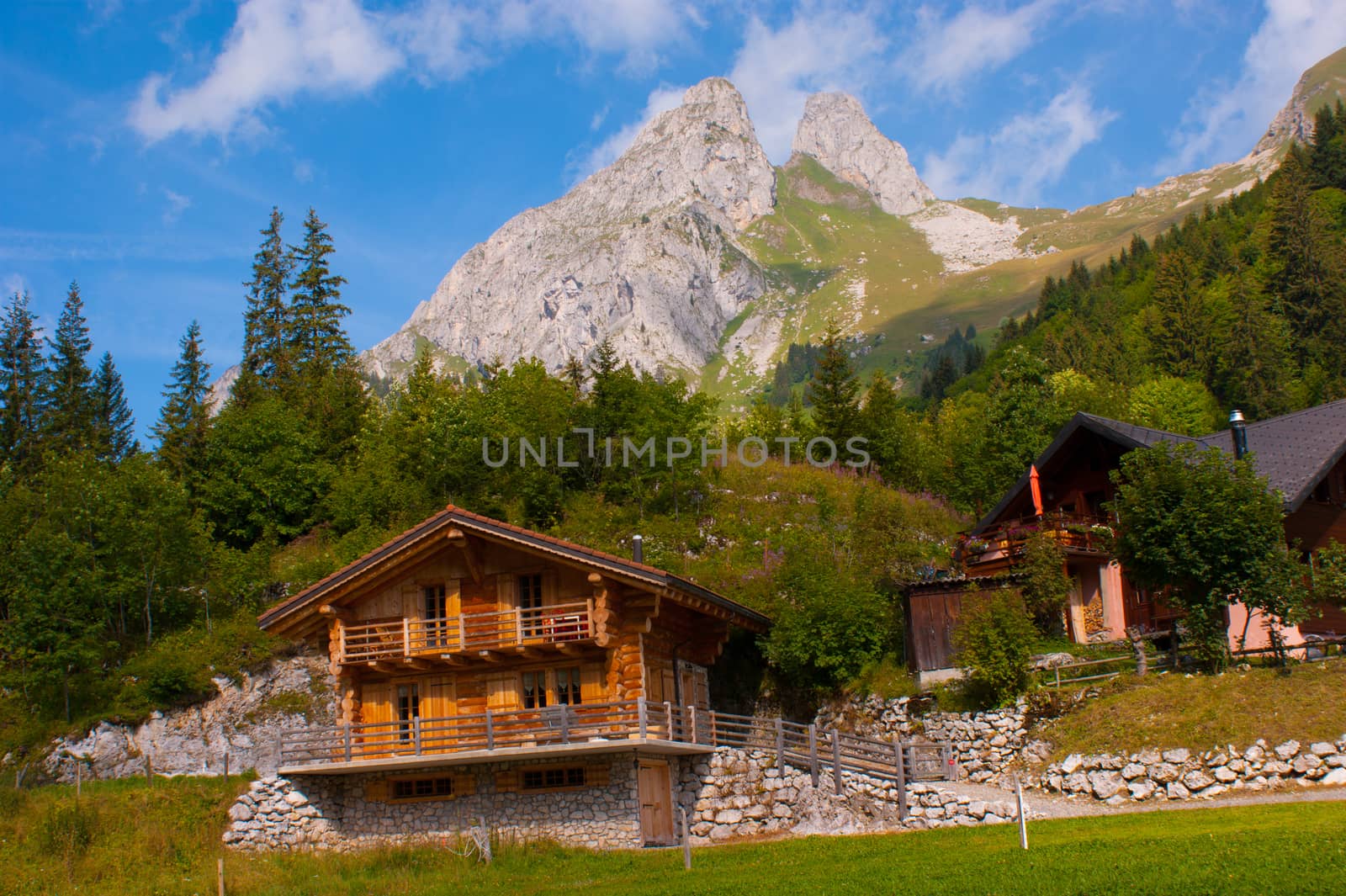 swiss alps landscape by bertrand