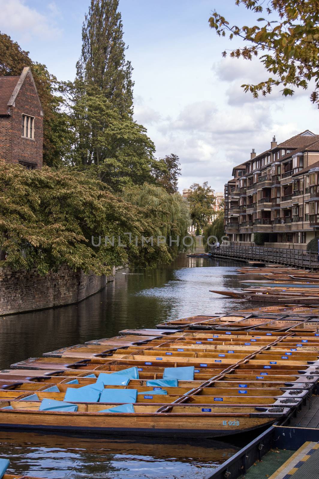 Cambridge, UK - September 19, 2011:  Punt rowing boats moored on the banks of the River Cam. Beside Magdalene College, Cambridge.