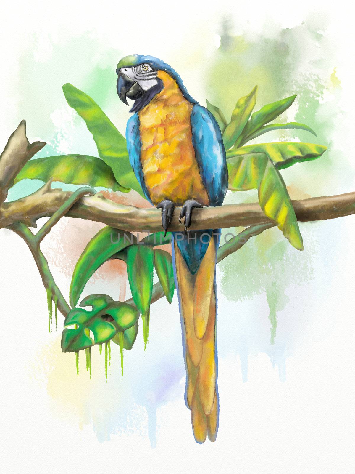 Blue and gold macaw with some tropical vegetation. Original digital watercolor.