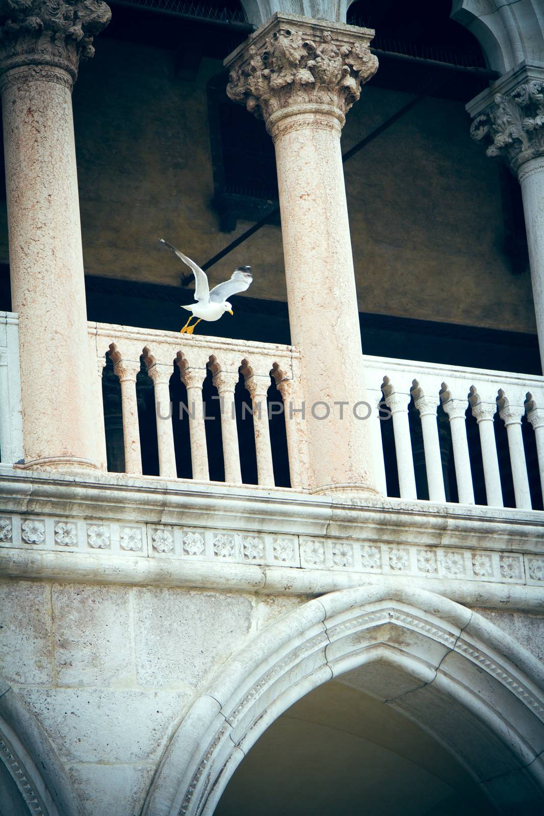 San Marco in Venice by samULvisuals