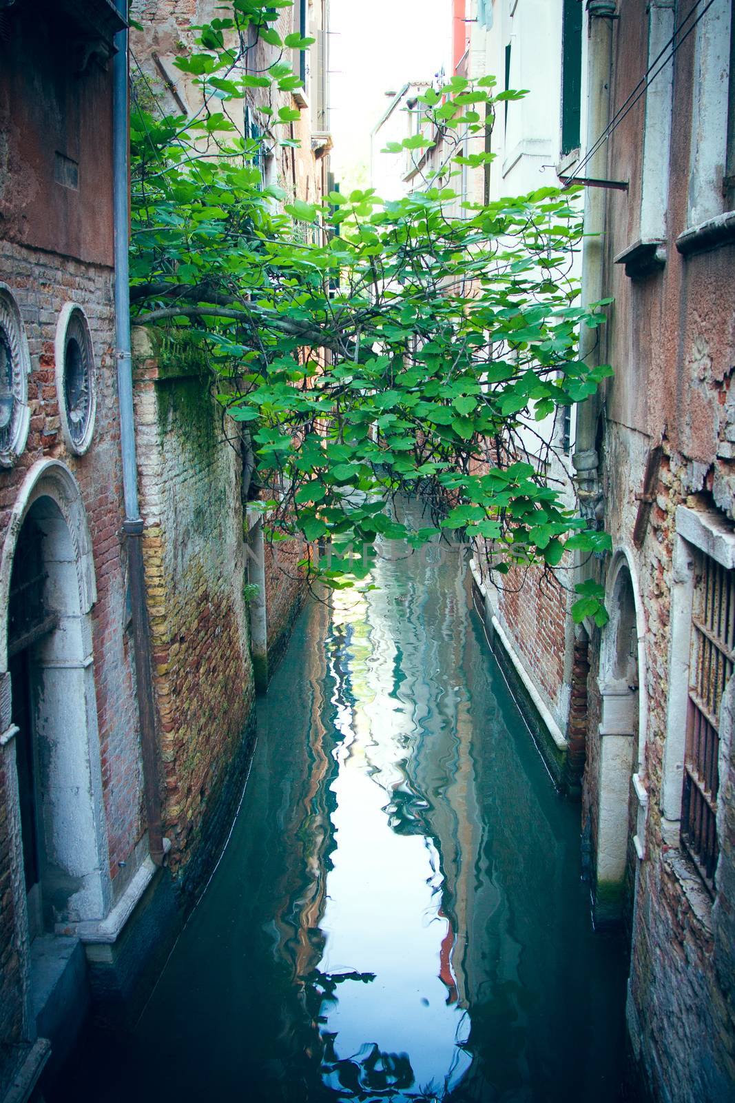 Venice Canal and gondola's