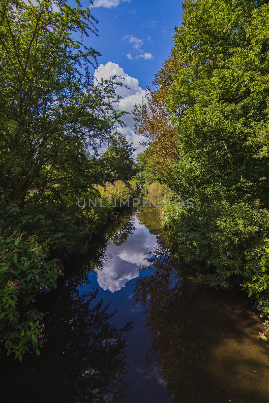 The English countryside during summer of a river and the surrounding reflections