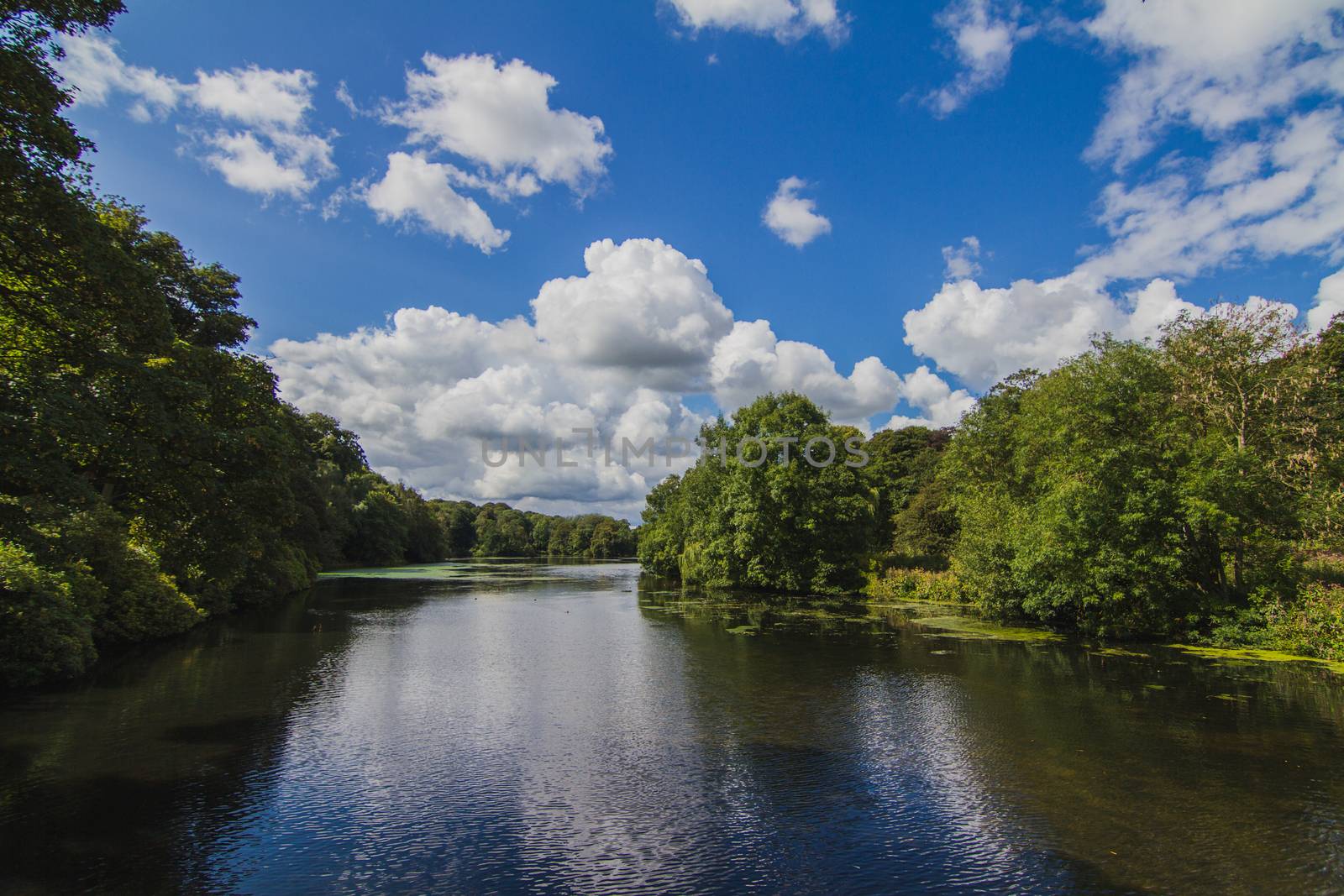 The English countryside during summer of a river and the surrounding reflections