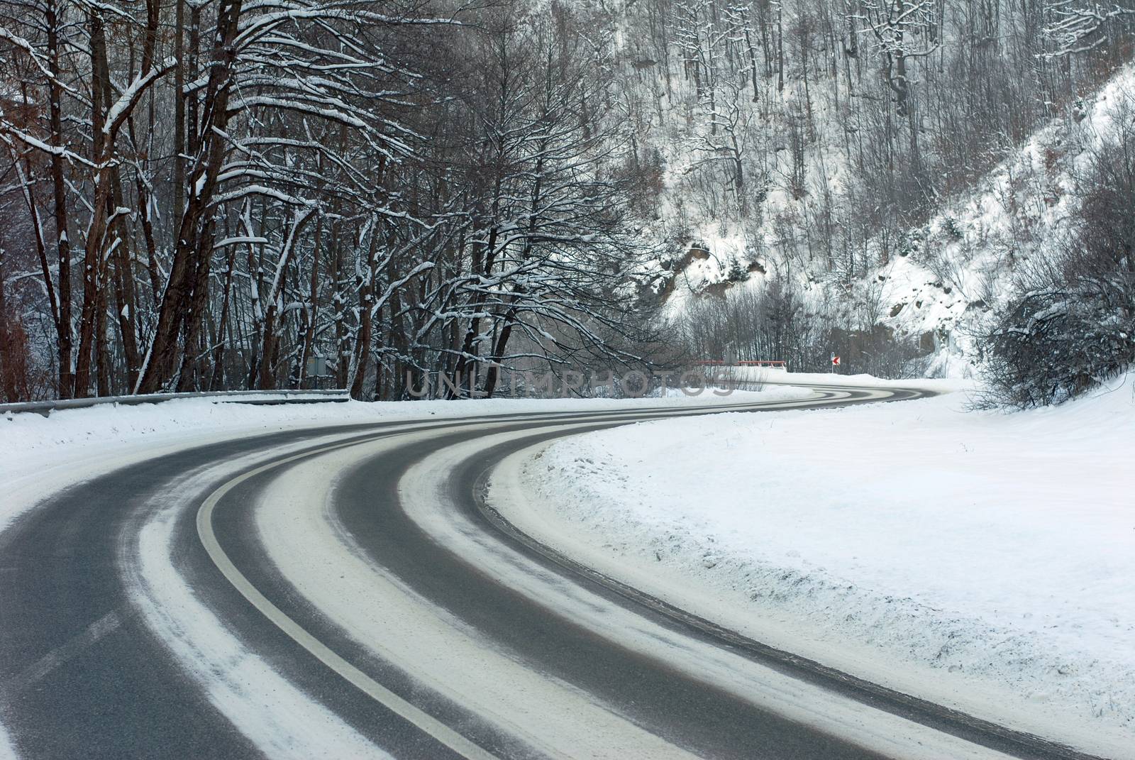 Snow covered trees lining road receding into distance, winter scene