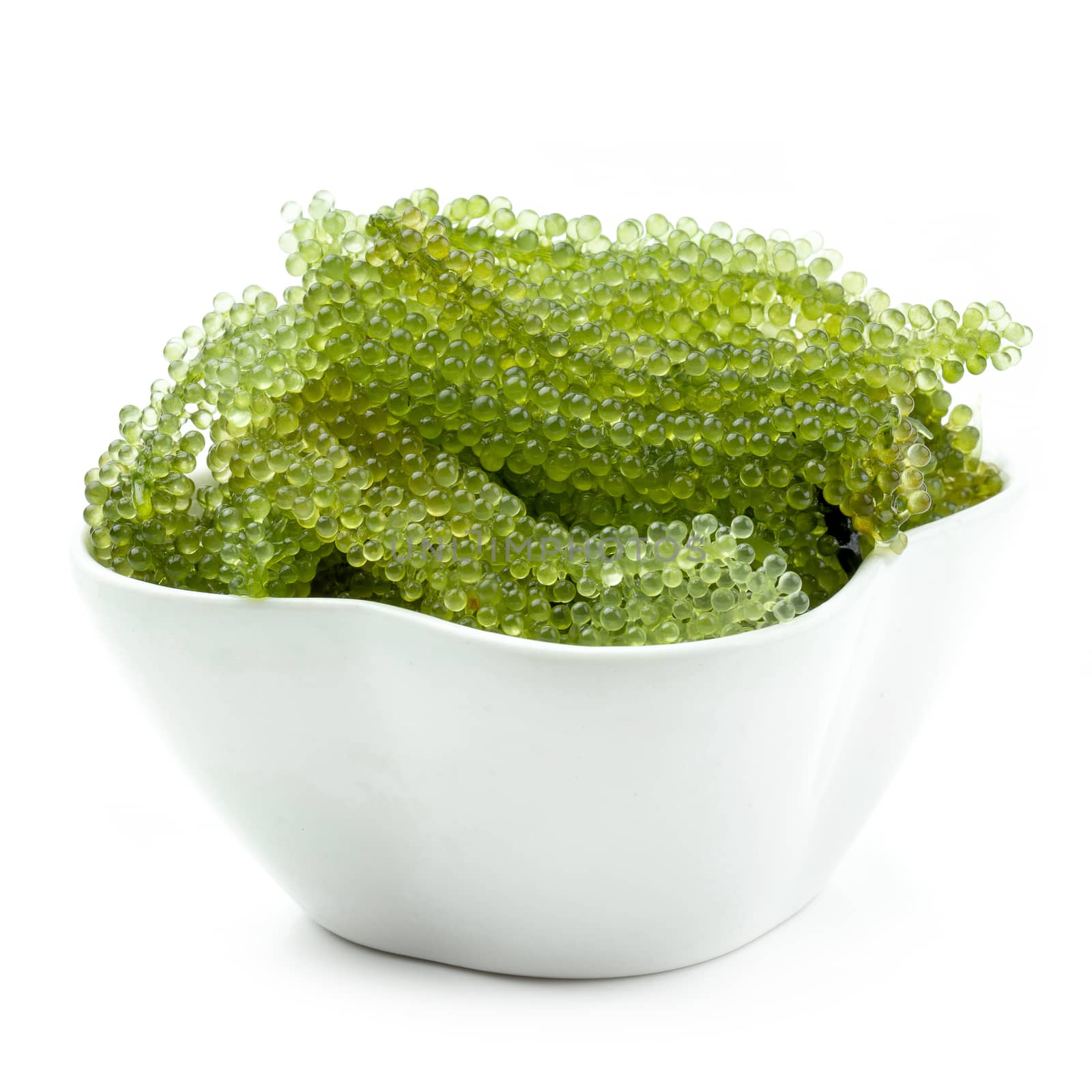 Oval sea grapes seaweed, Close up Green Caviar isolated on white by kaiskynet