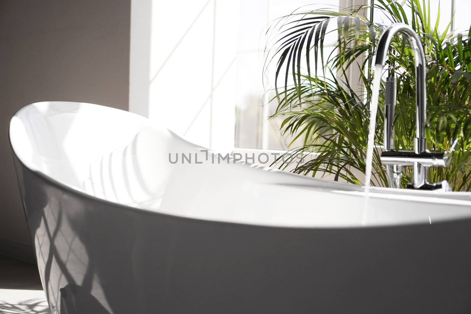 Modern bathroom. White bath with green palm branches. Bright room with sunlight from a large window. Water flows from a faucet