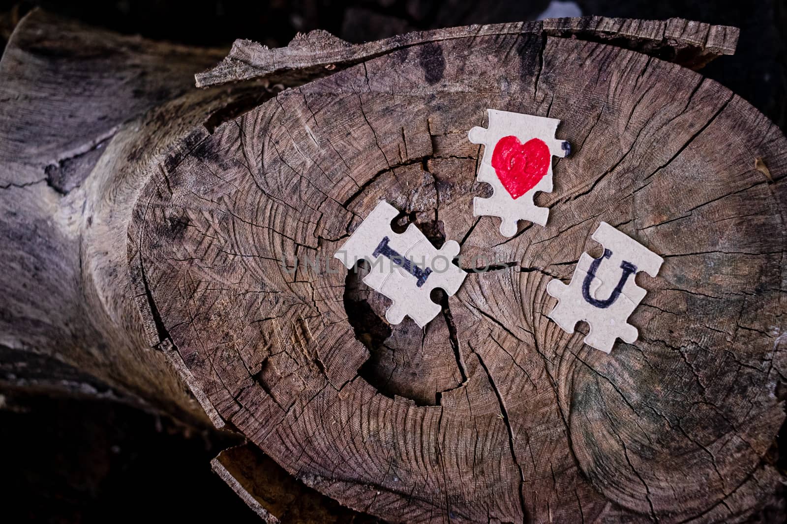 A picture of a paper jigsaw put on a tree stump and write that I love you