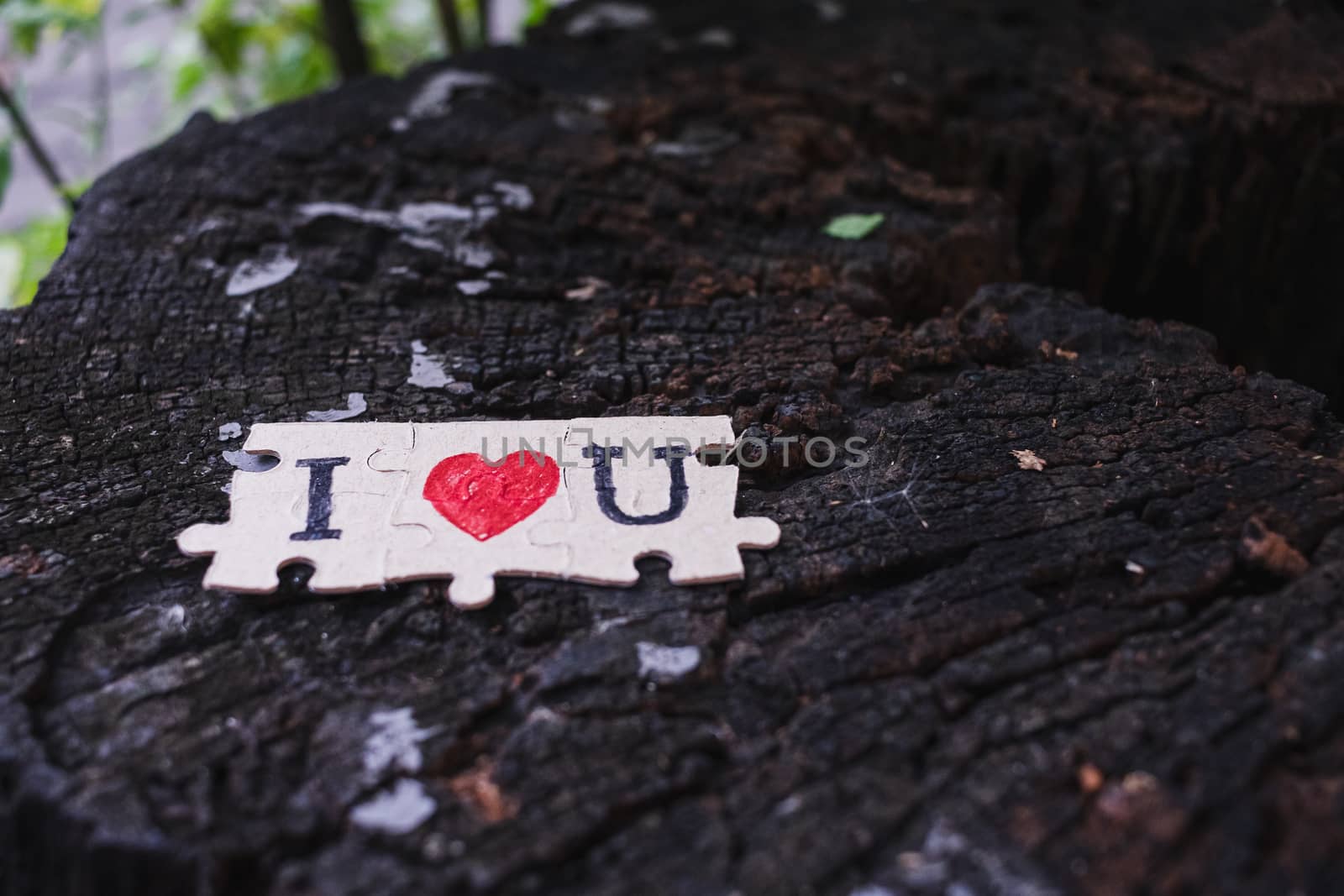 A picture of a paper jigsaw put on a tree stump and write that I by ToonPhotoClub