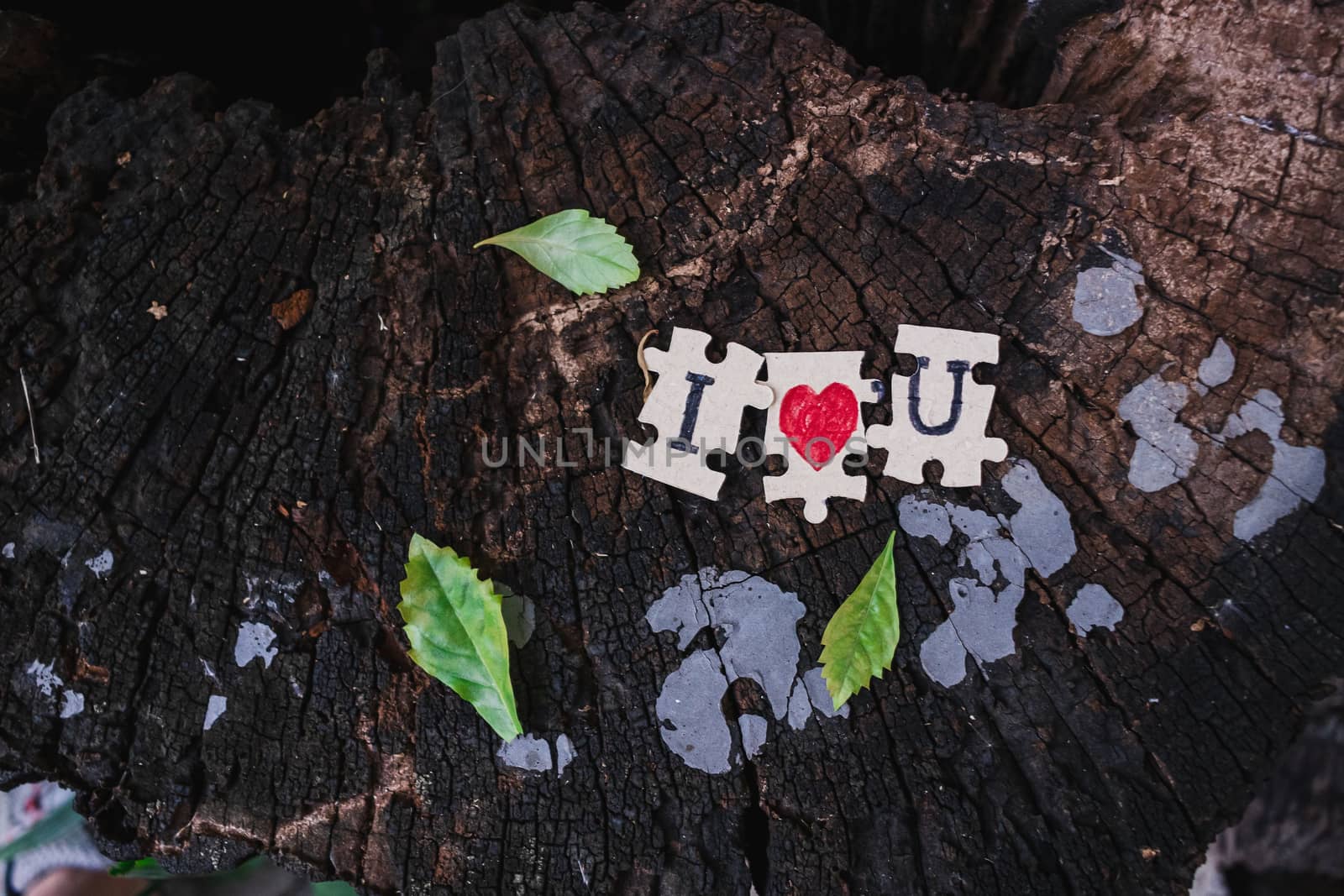 A picture of a paper jigsaw put on a tree stump and write that I by ToonPhotoClub