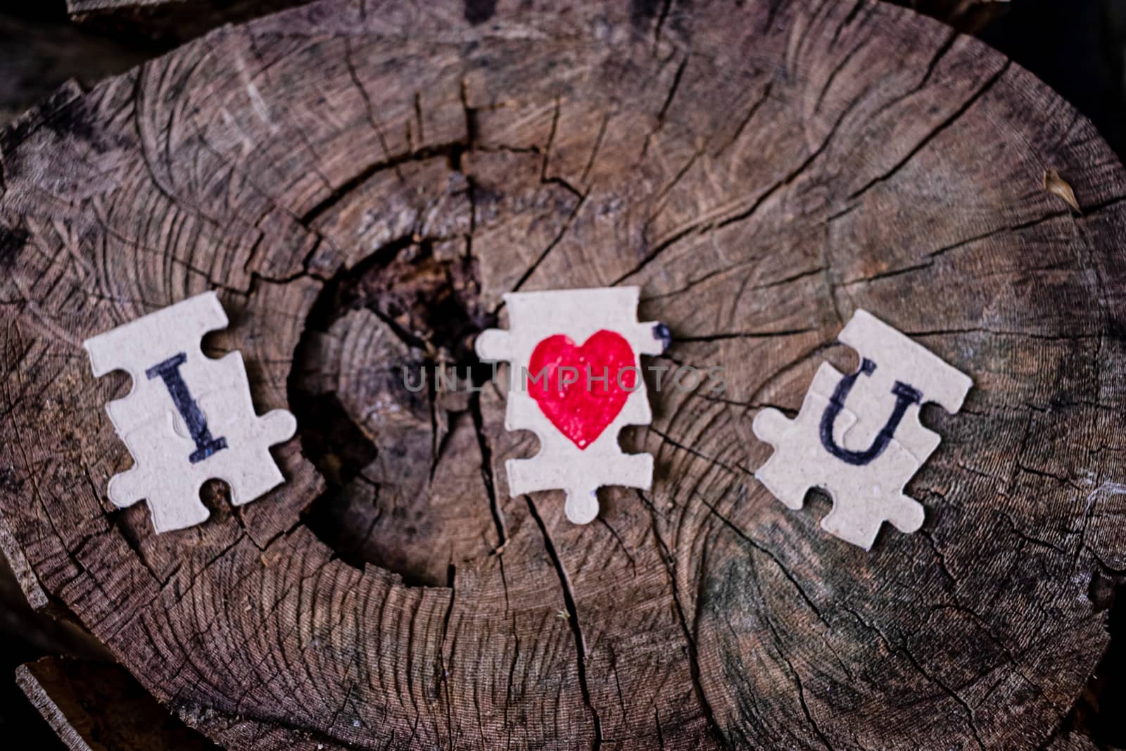 A picture of a paper jigsaw put on a tree stump and write that I love you