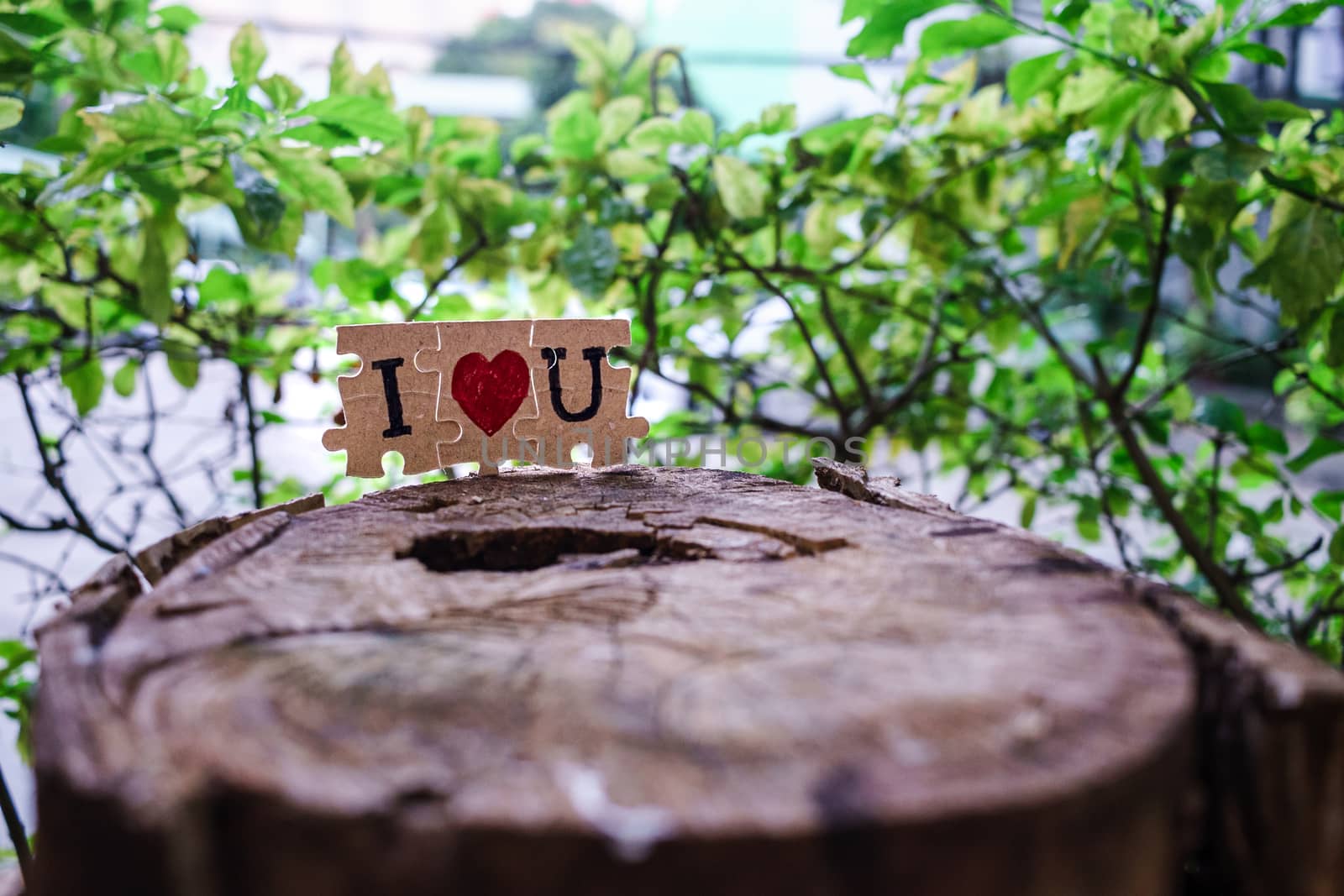 A picture of a paper jigsaw put on a tree stump and write that I love you