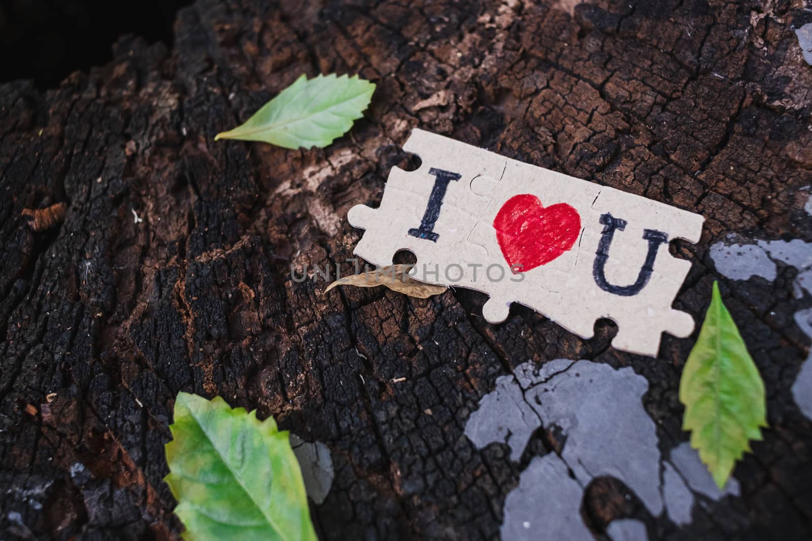 A picture of a paper jigsaw put on a tree stump and write that I by ToonPhotoClub