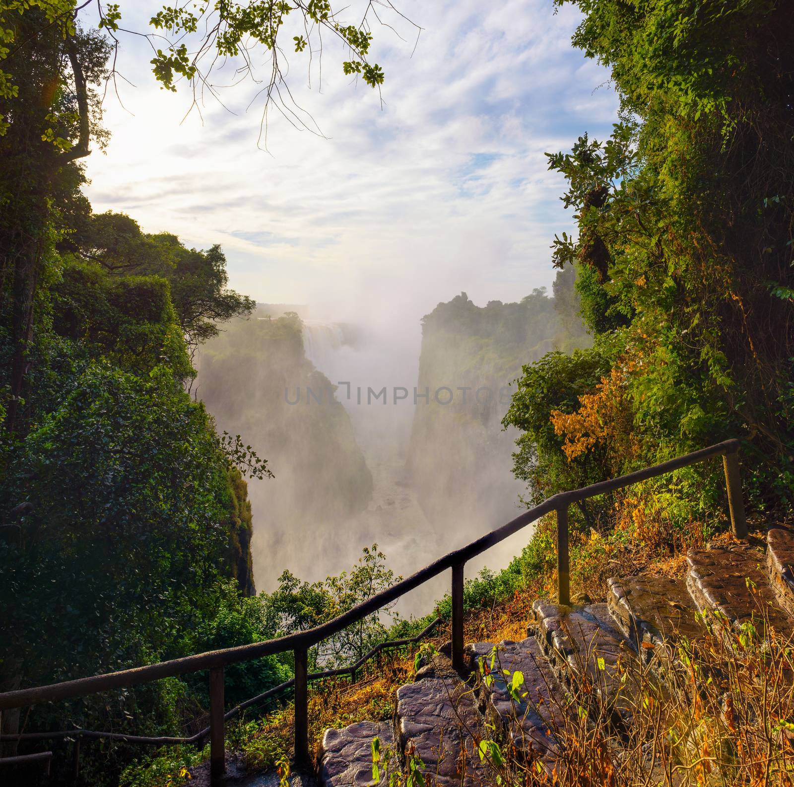 Staircase going to the Victoria Falls on Zambezi River in Zimbabwe by nickfox