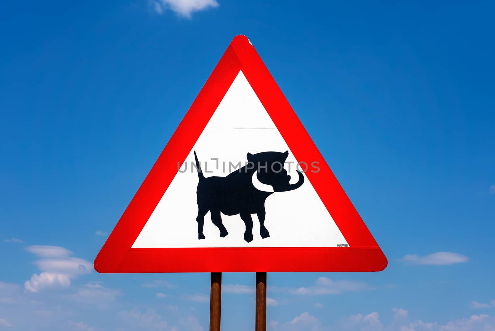 Warthogs crossing warning road sign by nickfox